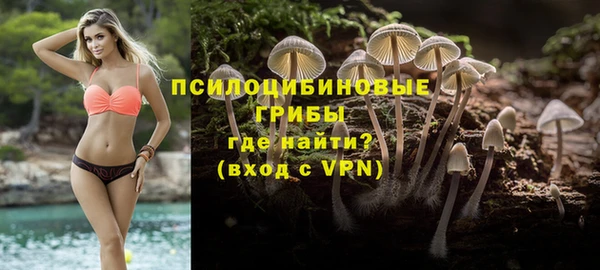 мяу мяу мука Аркадак