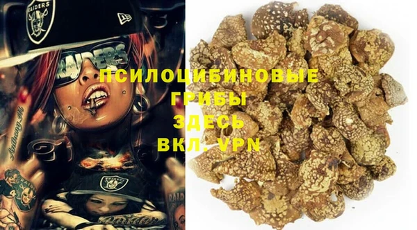 дживик Наволоки